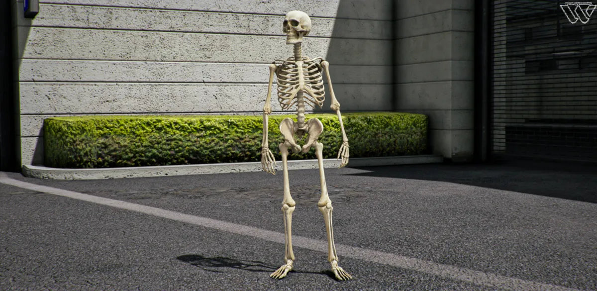 skeleton umutov fivem ready l movie ped roleplay 328.jpg