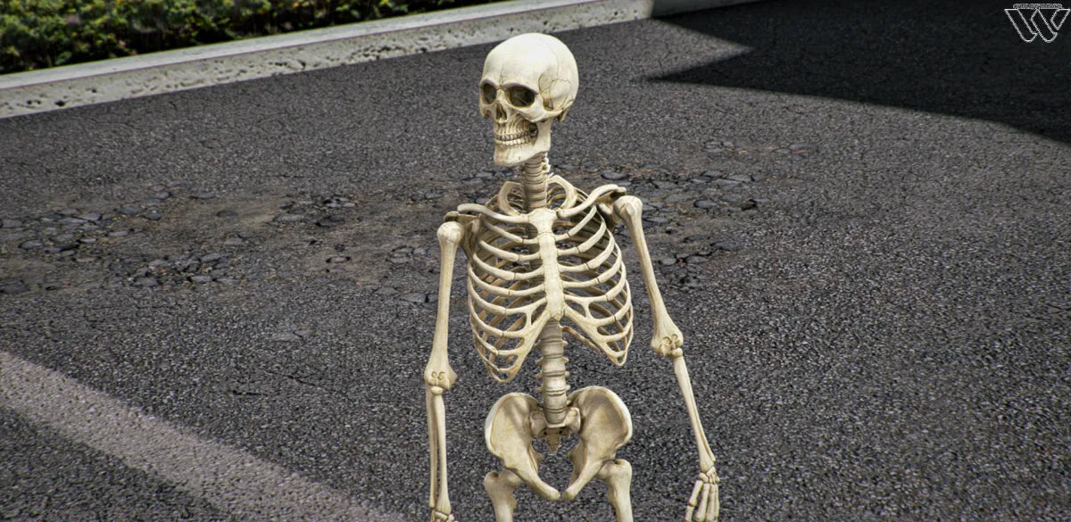 skeleton umutov fivem ready l movie ped roleplay 739.jpg